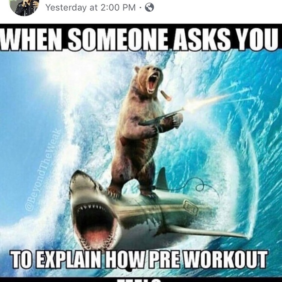 Meet your Posher, Steve - Picture 1 of 1